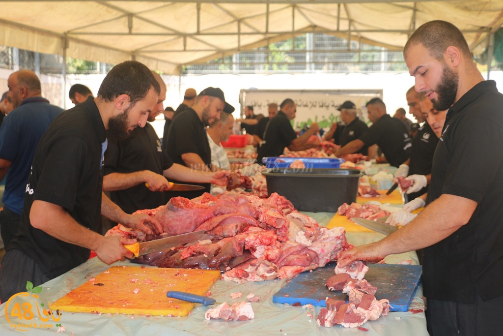 ada7y forthei (46).JPG